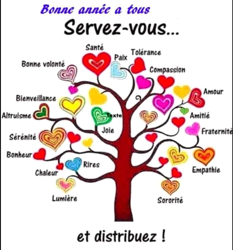 Bonne année